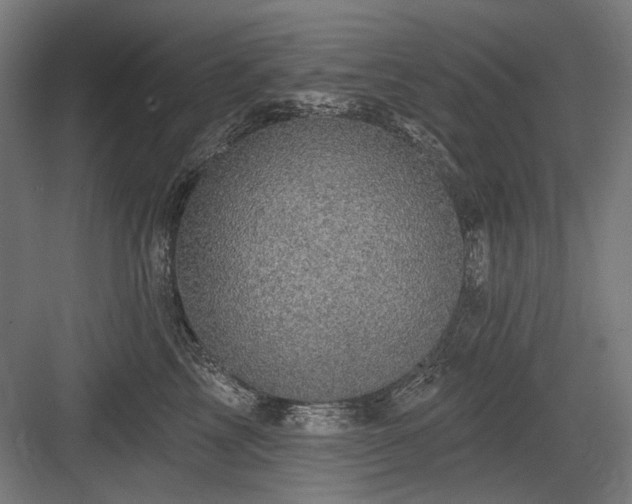 X0000083650713200702121150