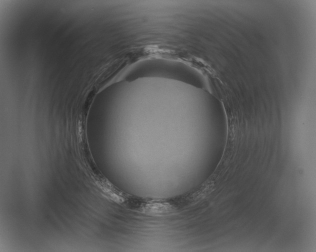 X0000083650716200702121150