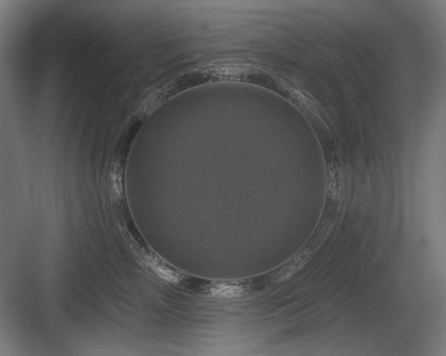 X0000083650718200702121150