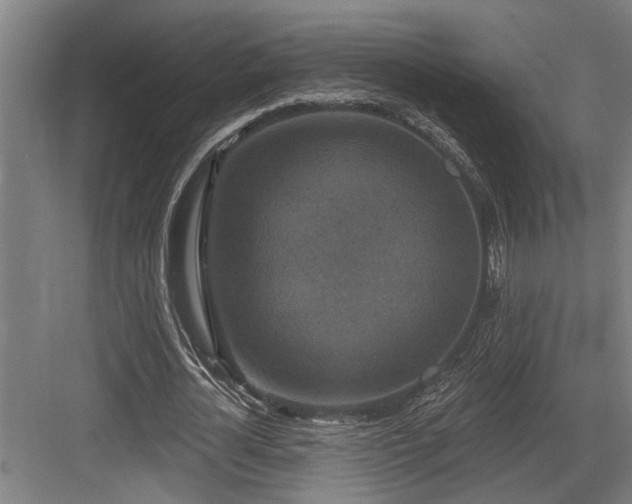X0000083650724200702121149
