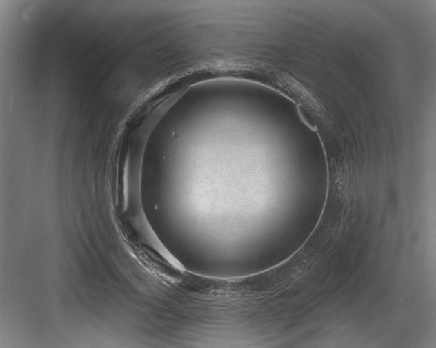X0000083650732200702121149