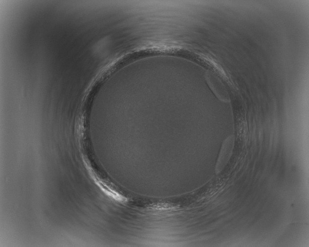X0000083650736200702121149