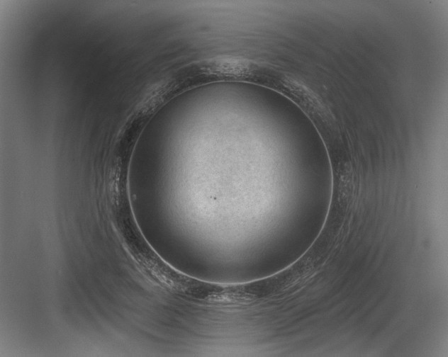 X0000083650739200702121149