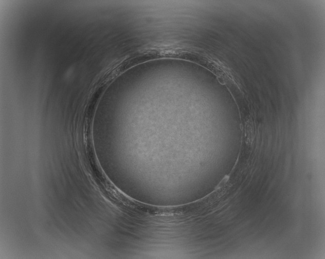 X0000083650740200702121149