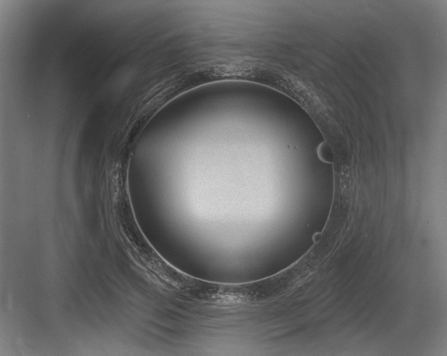 X0000083650741200702121149