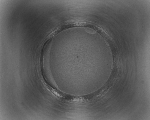 X0000083650744200702121149