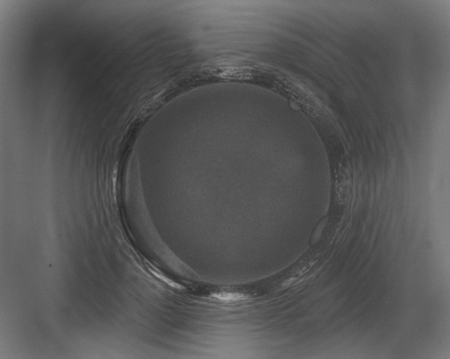 X0000083650748200702121149