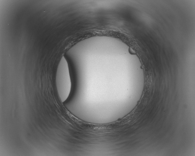 X0000083650749200702121149