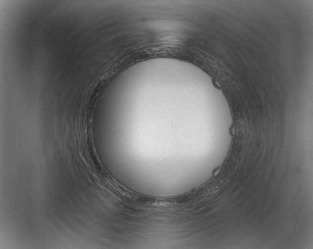 X0000083650751200702121149