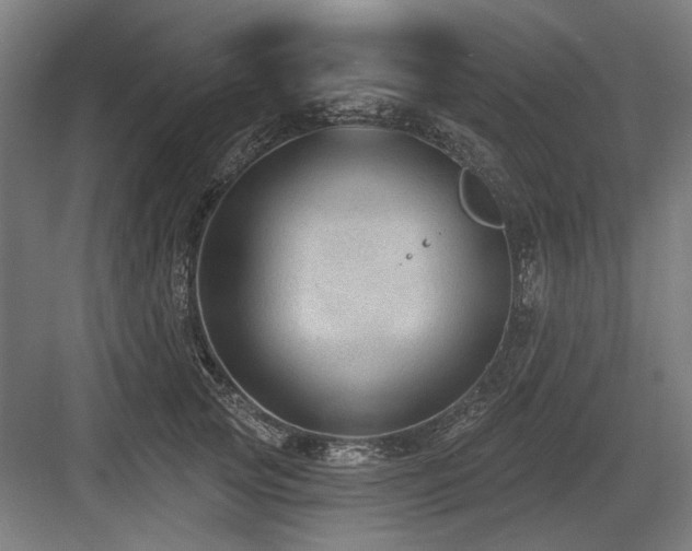 X0000083650753200702121150