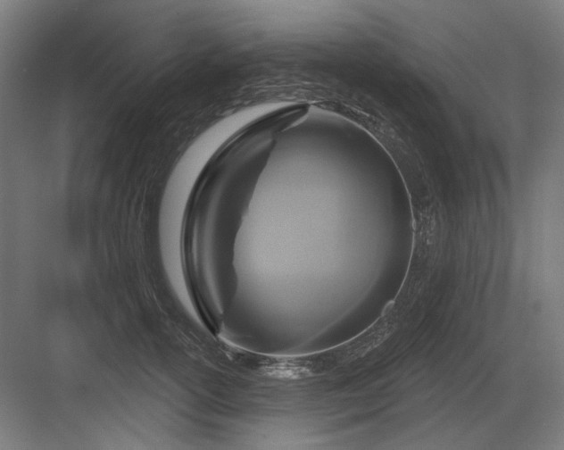 X0000083650754200702121150