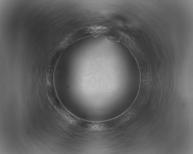 X0000083650755200702121150