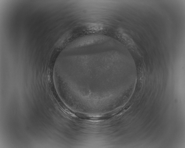X0000083650758200702121150