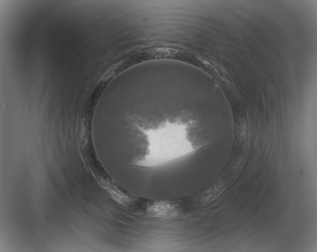 X0000083650759200702121150