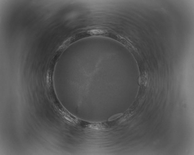 X0000083650763200702121150