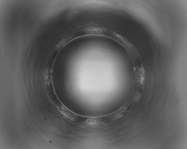 X0000083650764200702121150