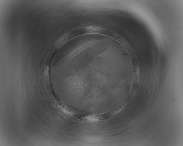 X0000083650765200702121150