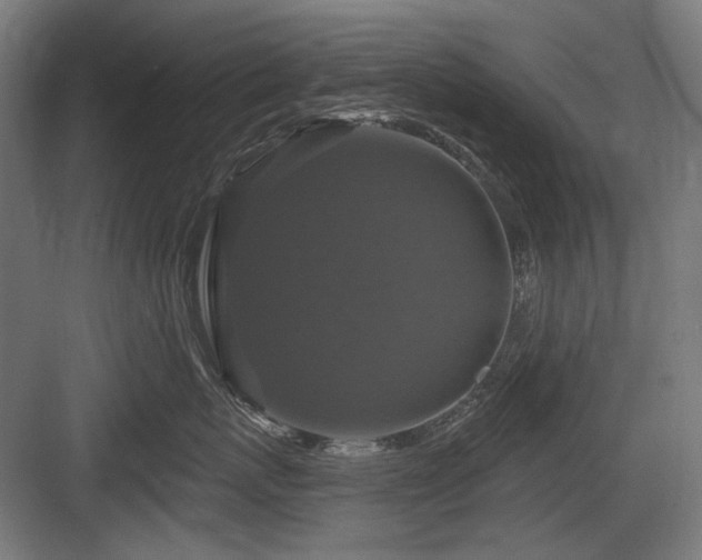 X0000083650767200702121150
