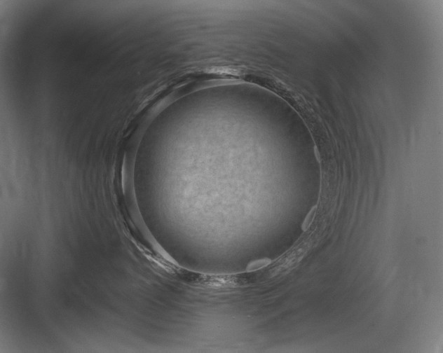 X0000083650768200702121150