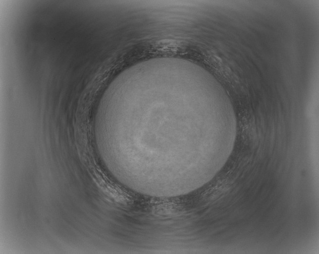 X0000083650769200702121149
