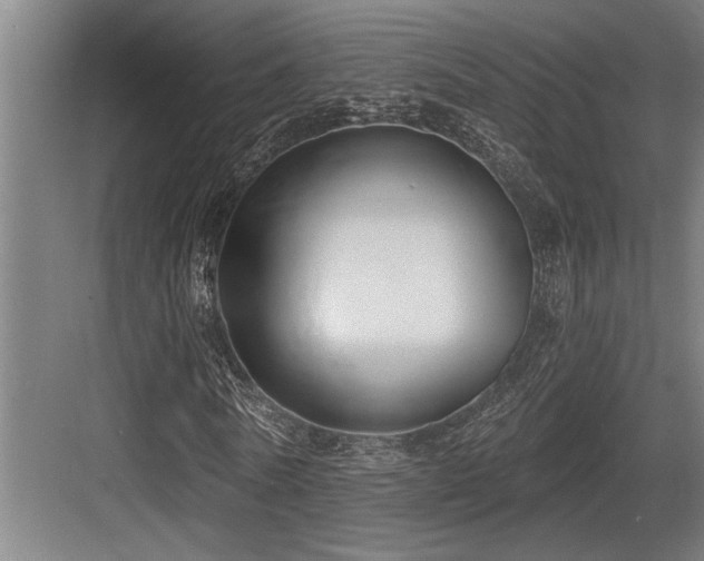 X0000083650770200702121149
