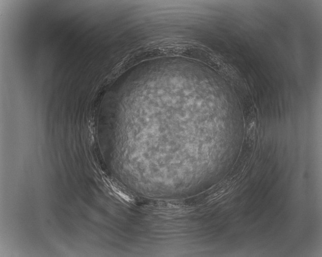 X0000083650772200702121149