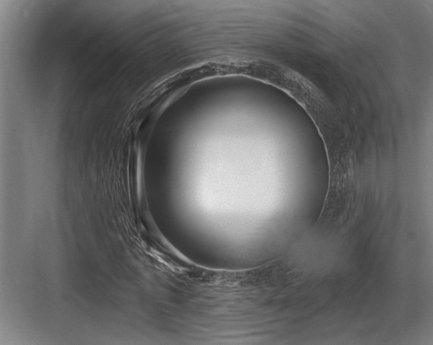 X0000083650773200702121149