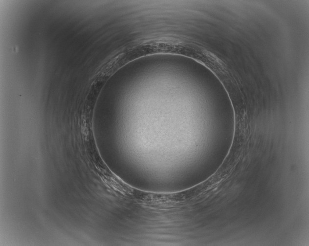 X0000083650774200702121149