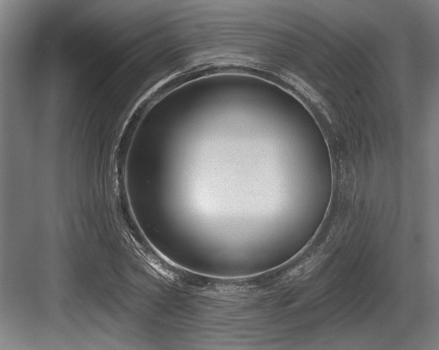 X0000083650782200702121149