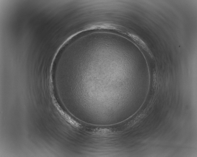 X0000083650784200702121149