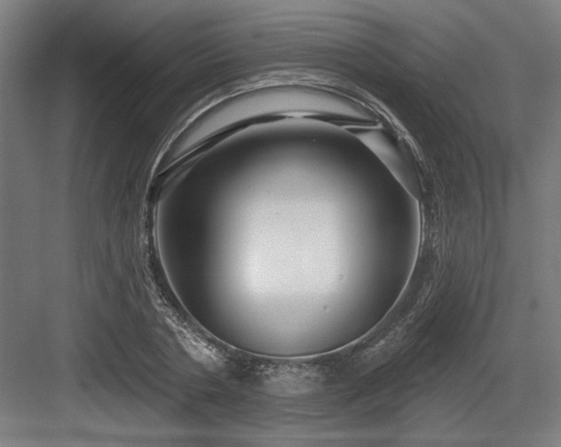 X0000083650786200702121149