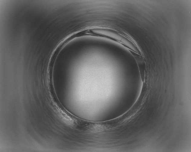 X0000083650787200702121149