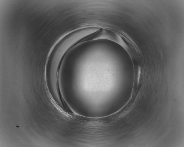 X0000083650788200702121149