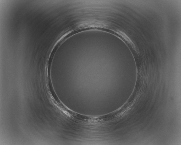 X0000083650790200702121149