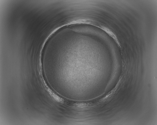 X0000083650792200702121149