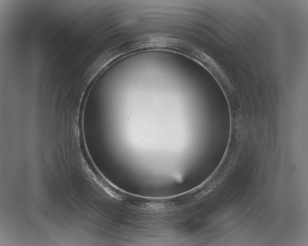 X0000083650794200702121149