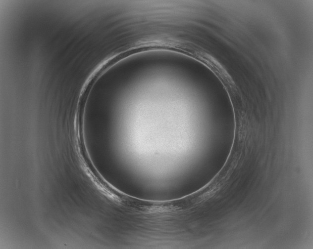 X0000083650796200702121148