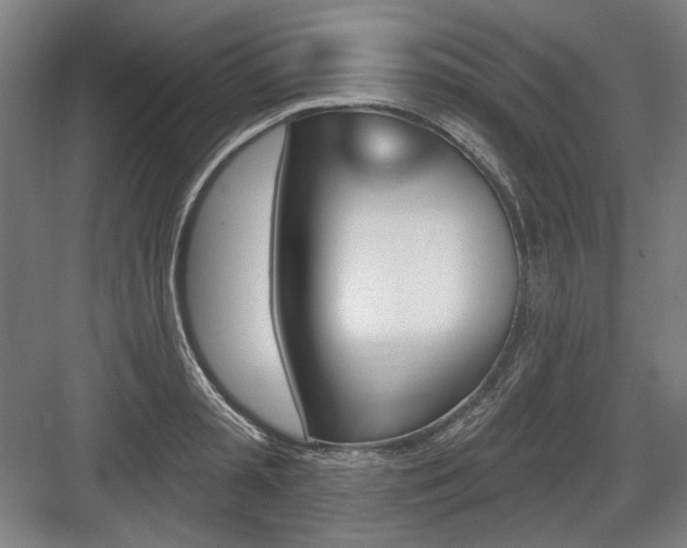 X0000083650797200702121148