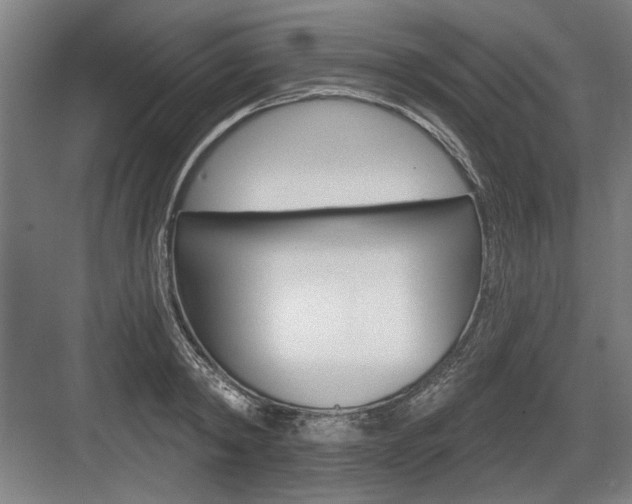 X0000083650798200702121148
