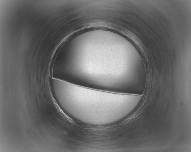 X0000083650799200702121148