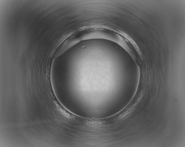 X0000083650801200702121148