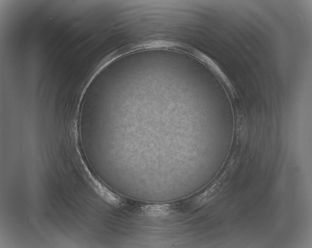 X0000083650810200702121148