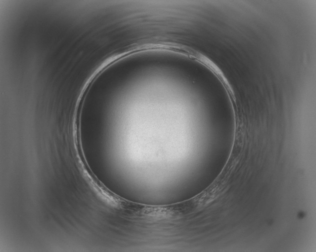 X0000083650811200702121148