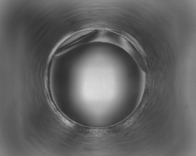 X0000083650812200702121148