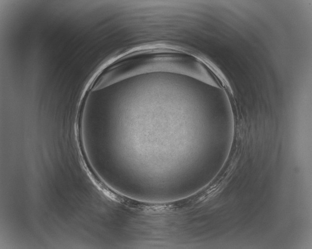 X0000083650813200702121148