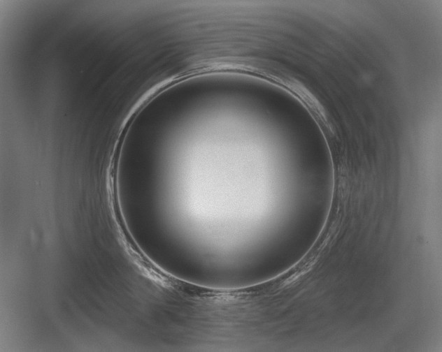 X0000083650814200702121148
