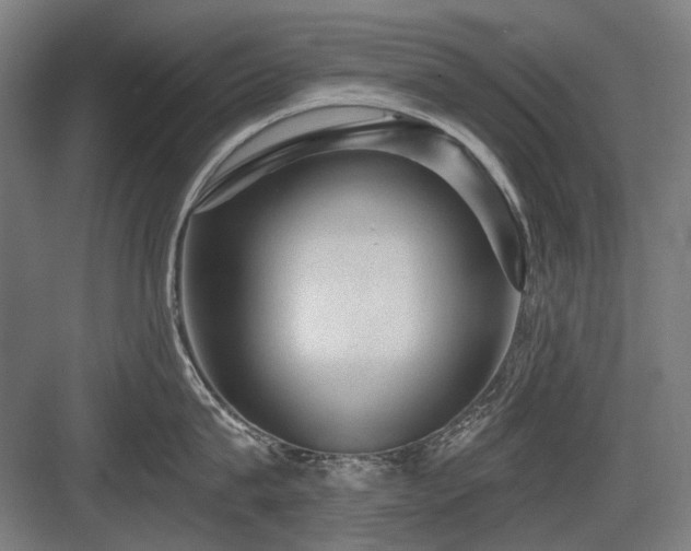 X0000083650815200702121148