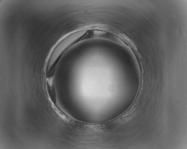 X0000083650816200702121148