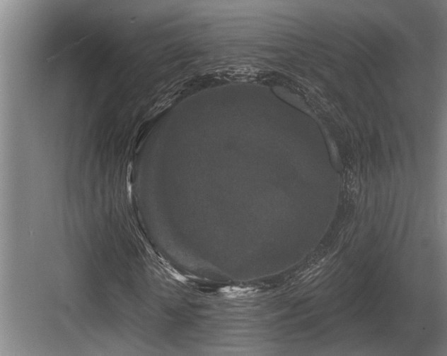 X0000083650818200702121147