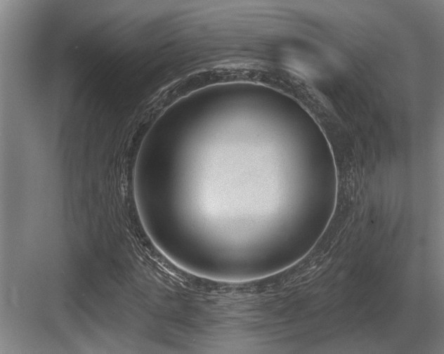 X0000083650821200702121147